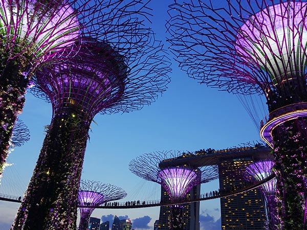 新加坡、馬來西亞雙飛六日游