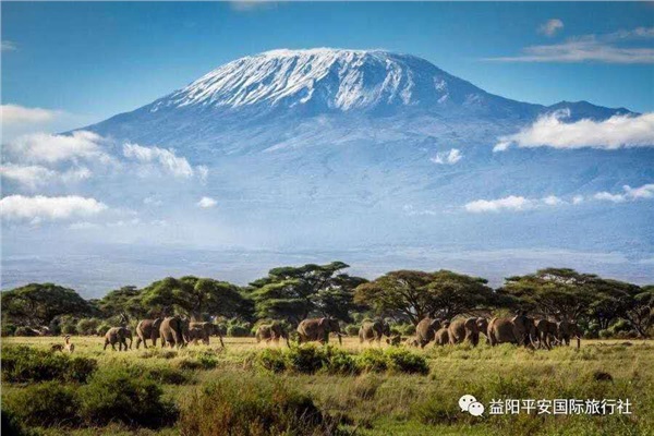 發(fā)現非洲體驗之旅肯尼亞10游