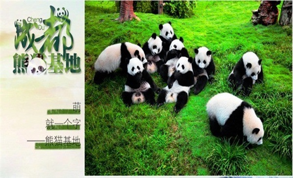 長(zhǎng)沙、成都雙飛6天