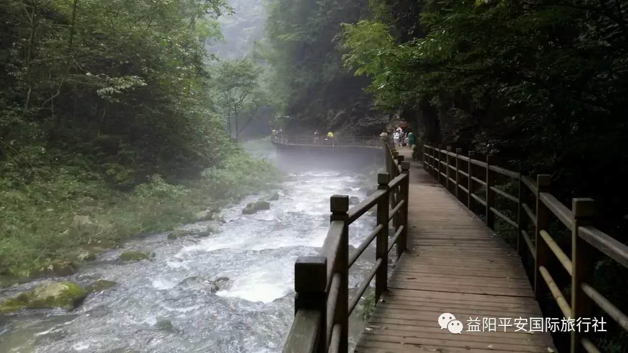 　張家界大峽谷、玻璃橋、黃龍洞品質(zhì)純玩兩日游c2