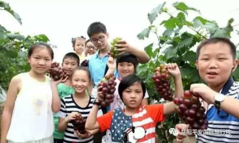 【我和帳篷有個(gè)約會(huì)】武功山二日游 【我和帳篷有個(gè)約會(huì)】武功山二日游