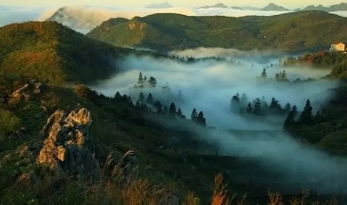 益陽安化?天下茶道、云臺(tái)山、茶香花海2日游