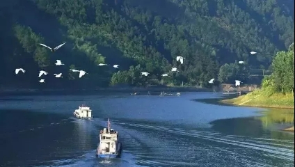 益陽安化?天下茶道、云臺(tái)山、茶香花海2日游