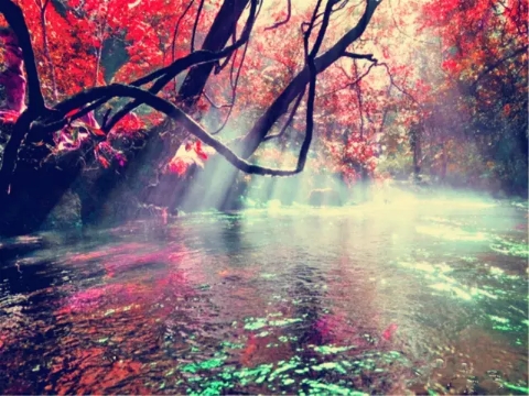 貴州-黃果樹瀑布、荔波大小七孔、西江千戶苗寨5日游