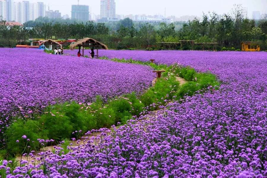 長沙?華誼兄弟電影小鎮(zhèn)、李自健美術(shù)館一日游