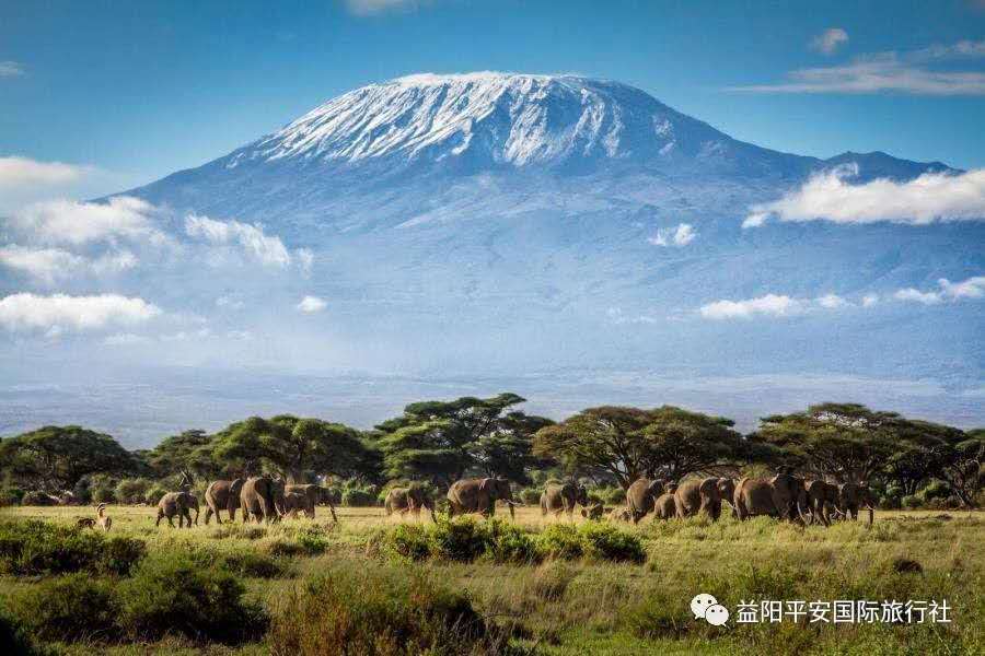 發(fā)現非洲體驗之旅肯尼亞10游