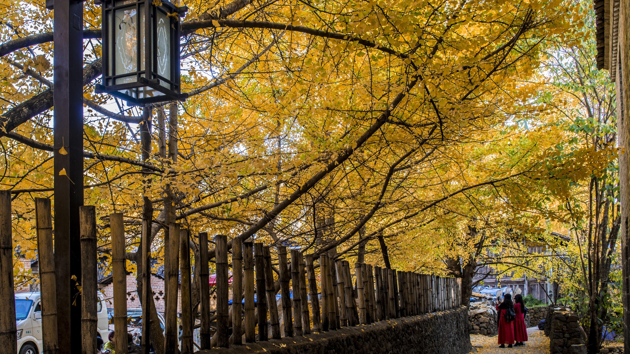 長沙直飛騰沖、瑞麗、芒市雙飛六日游
