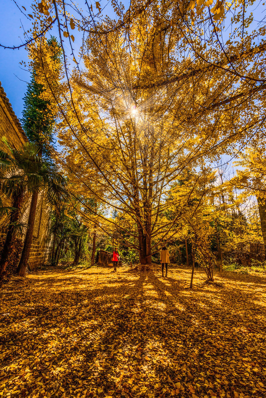 長沙直飛騰沖、瑞麗、芒市雙飛六日游