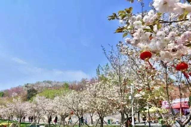 長(zhǎng)沙潯龍河櫻花谷、田漢文化園一日游