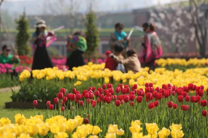岳陽花語世界、汴河街一日游