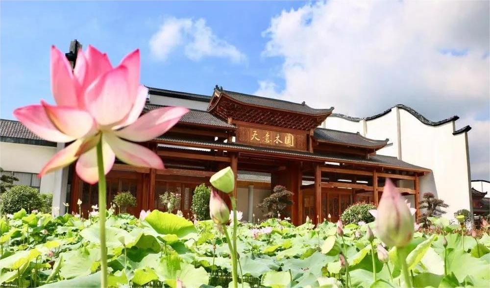 清溪村、天意木國(guó)景區(qū)、明清古巷、市博物館、胡林翼故居二日游